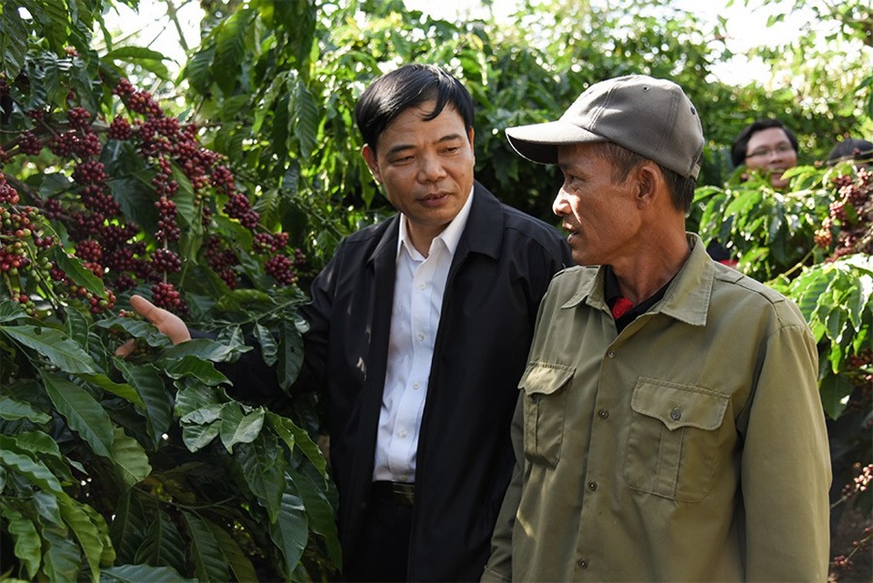 Giữ vững vị thế của cà phê Việt: Khó hay dễ? - 2 Bộ trưởng Bộ NN & PTNT thăm vườn cà phê mẫu trong Dự án NESCAFÉ Plan tại tỉnh Lâm Đồng
