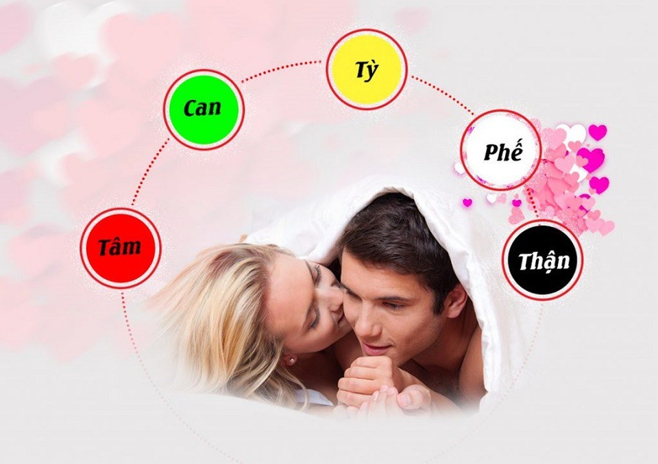 Thuốc Đông y trị “đầu hàng sớm” đi kèm tiểu đêm, đau lưng, nhức mỏi, tóc bạc sớm - 2 Muốn trị xuất tinh sớm đi kèm các chứng tiểu đêm, đau lưng, mỏi gối, tóc bạc sớm... bên cạnh chú trọng tạng Thận, cần bồi bổ cả Ngũ tạng (Ảnh minh họa internet)