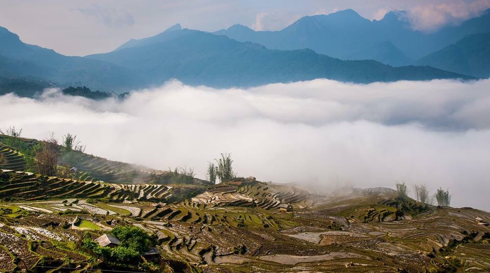 Vẻ đẹp ngỡ ngàng "đại dương" mây trắng trên đỉnh Tà Xùa - 7 Vẻ đẹp ngỡ ngàng "đại dương" mây trắng trên đỉnh Tà Xùa - 7