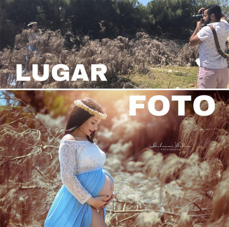 Lùm cây khô gãy trở thành bối cảnh chụp ảnh tuyệt vời