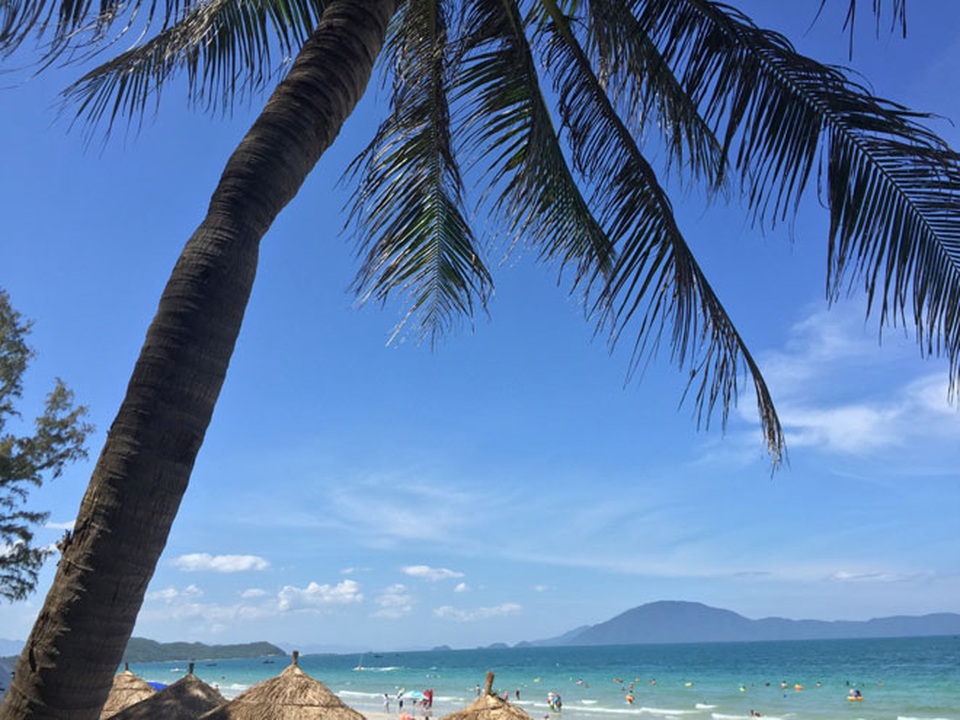 Ở Nha Trang có một bãi biển đẹp "thần sầu", chẳng kém gì Hawai - 10 Dừa bung tán rộng tạo bóng mát trên bãi biển