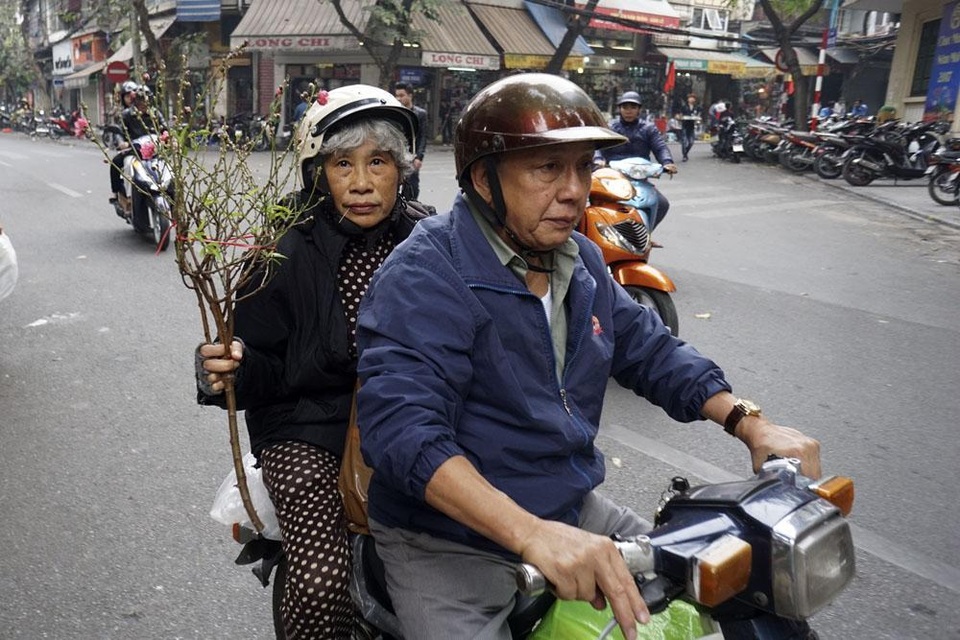 Cành đào nhỏ xinh cùng chủ nhân về nhà, mang theo không khí Tết.