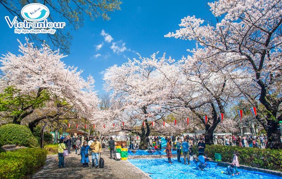 Những tour du lịch dự đoán “nóng” nhất năm 2017 - 3
Từ ngày 15/12/2016, Vietrantour được ĐSQ Nhật Bản tại Việt Nam ủy thác dịch vụ xin các loại visa nhập cảnh cho khách với phí dịch vụ hợp lý.