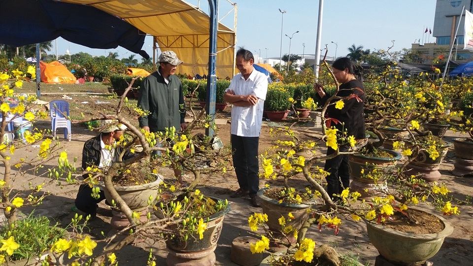 Cuối ngày 30 Tết, hoa, cây cảnh đồng loạt “xả hàng” - 26 Những vị khách này còn đang lưỡng lự