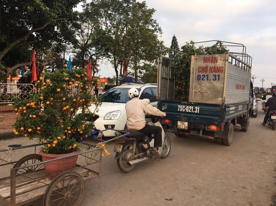 Cuối ngày 30 Tết, hoa, cây cảnh đồng loạt “xả hàng” - 48 Những người chở cây cảnh thuê vẫn đang cố gắng hoàn thành công việc để về đón Tết cùng gia đình