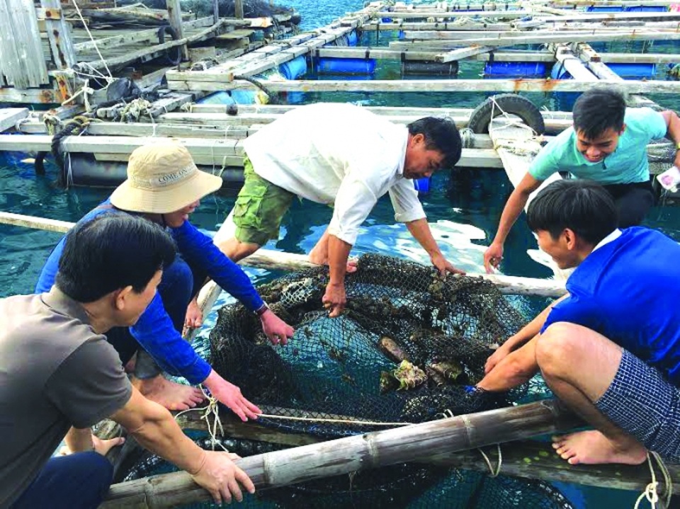 Côn Đảo điểm đến du lịch tâm linh - 3