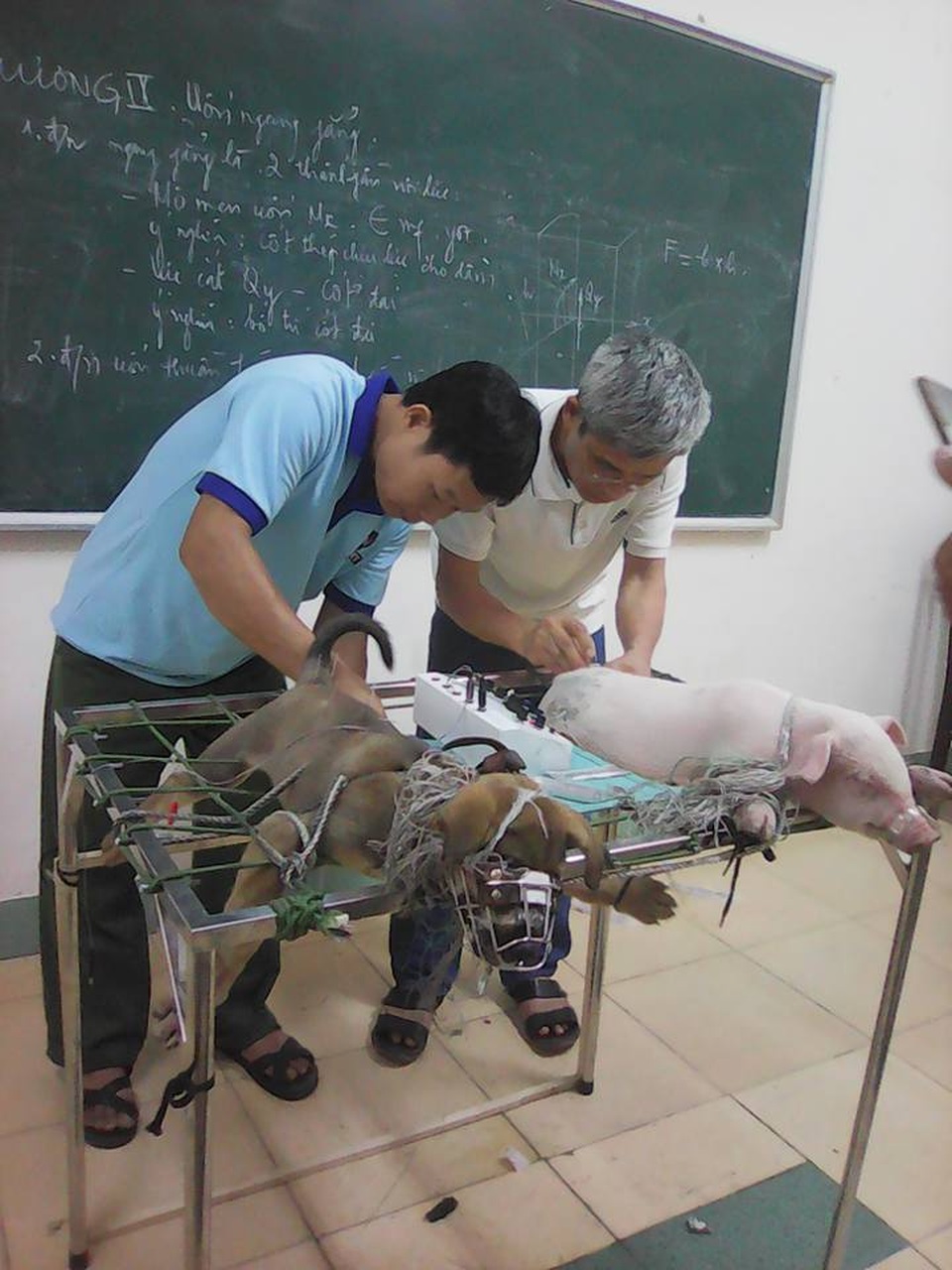 Xét tuyển đại học ngành Thú y hệ chính quy - 1 Xét tuyển đại học ngành Thú y hệ chính quy - 1