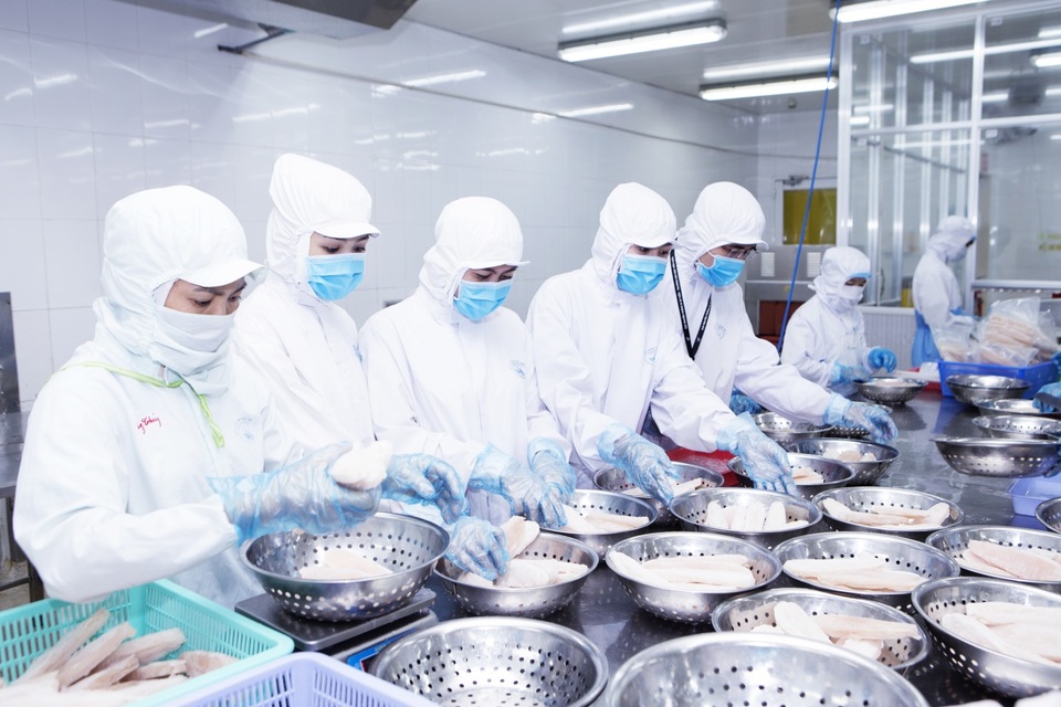 Cơ hội việc làm khi học ngành Nuôi trồng thủy sản - 3 Bên cạnh việc khởi nghiệp kinh doanh, tư vấn kỹ thuật nuôi trồng thủy sản tại địa phương, nhiều sinh viên Cao đẳng Vạn Xuân còn đang làm việc tại HungHau Holdings.