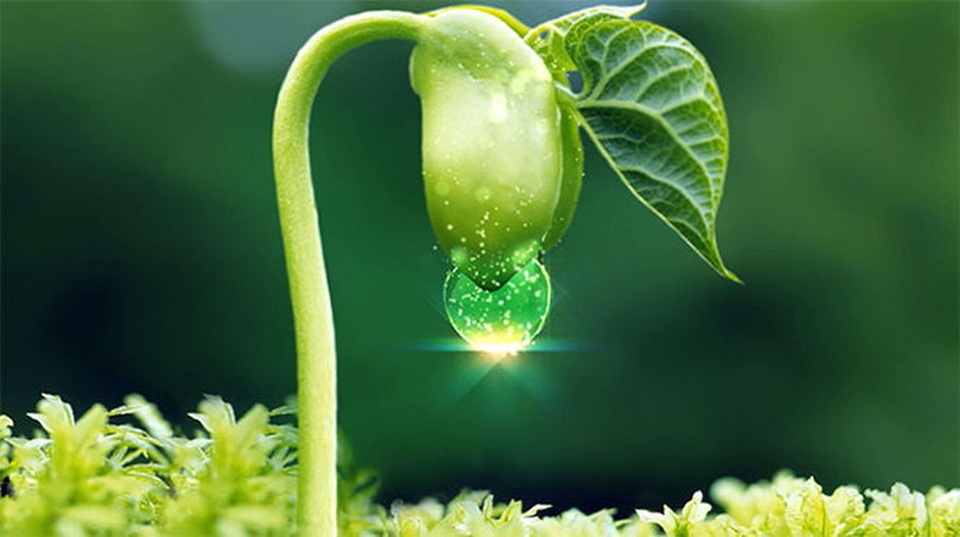 Mất ngủ - Bốc hỏa: "Bóng đen" đè nặng tâm lý - 3 Mất ngủ - Bốc hỏa: "Bóng đen" đè nặng tâm lý - 3