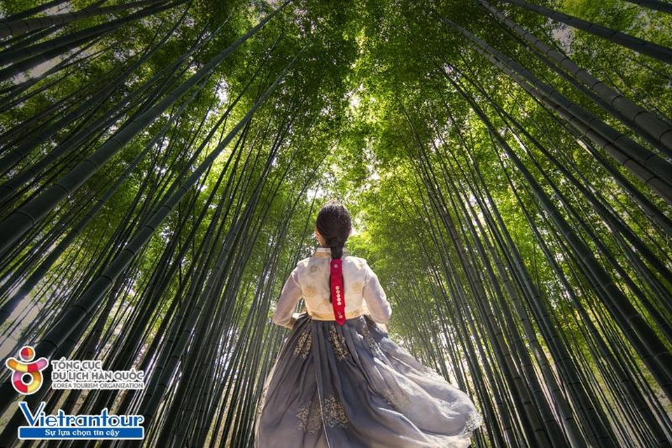 Tour du lịch Hàn Quốc dành riêng phái đẹp trong tháng 10 - 3 Tour du lịch Hàn Quốc dành riêng phái đẹp trong tháng 10 - 3