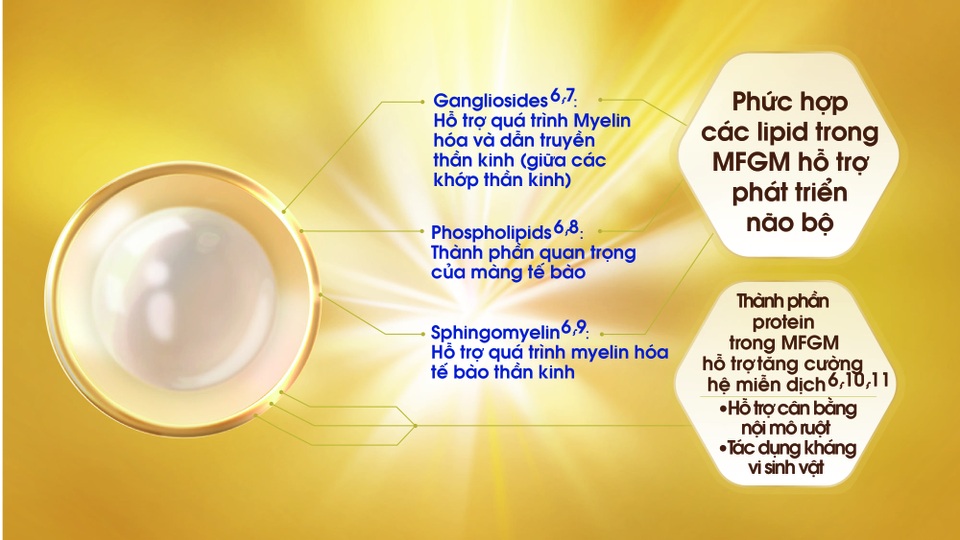 "Điểm danh" thực phẩm đầu bảng giúp bé yêu phát triển trí não toàn diện - 3 MFGM được chứng minh lâm sàng giúp tăng cường IQ & EQ