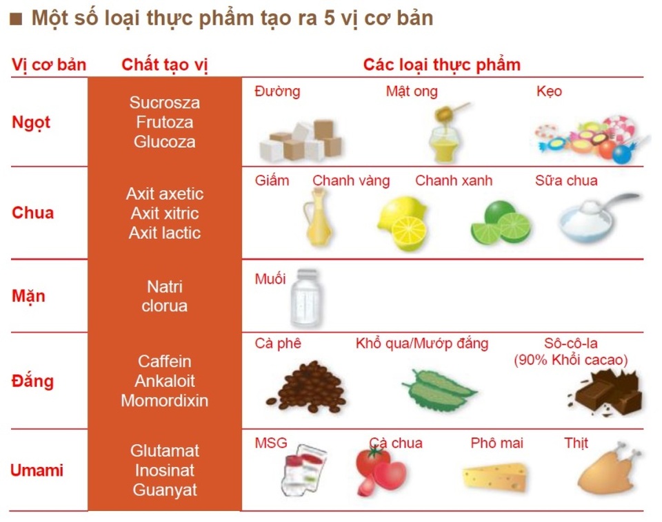 Khám phá hành trình phổ biến vị umami trên thế giới - 3 Các loại thực phẩm tạo ra vị umami