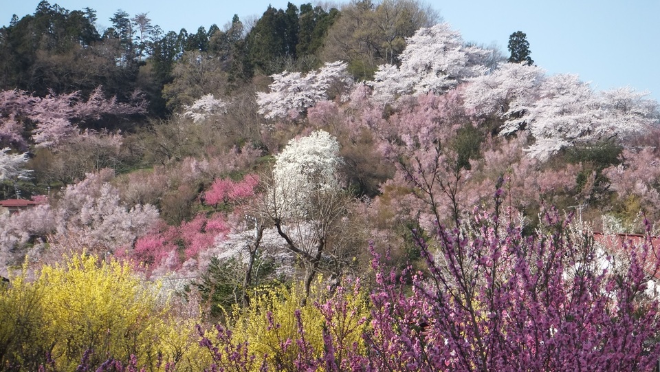 Khám phá “Hành trình kim cương” bằng máy bay riêng - 3 Khám phá “Hành trình kim cương” bằng máy bay riêng - 3