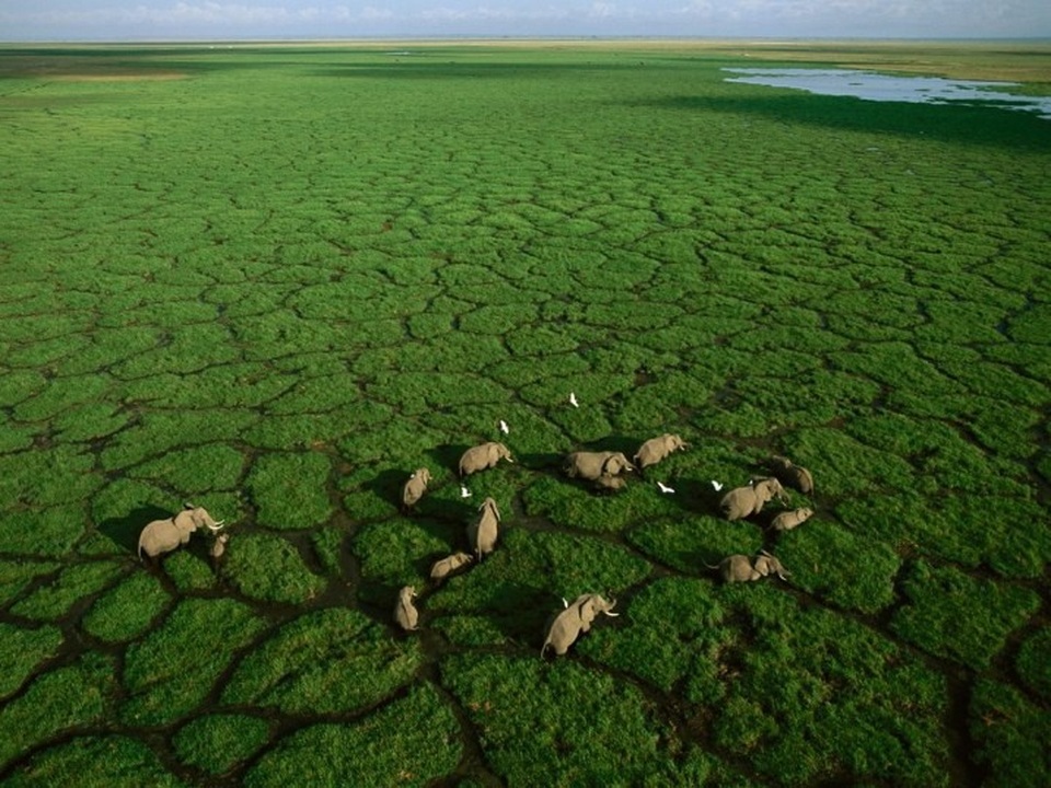 Những bức ảnh đẹp ngỡ ngàng khi chụp từ trên cao - 3 Những bức ảnh đẹp ngỡ ngàng khi chụp từ trên cao - 3