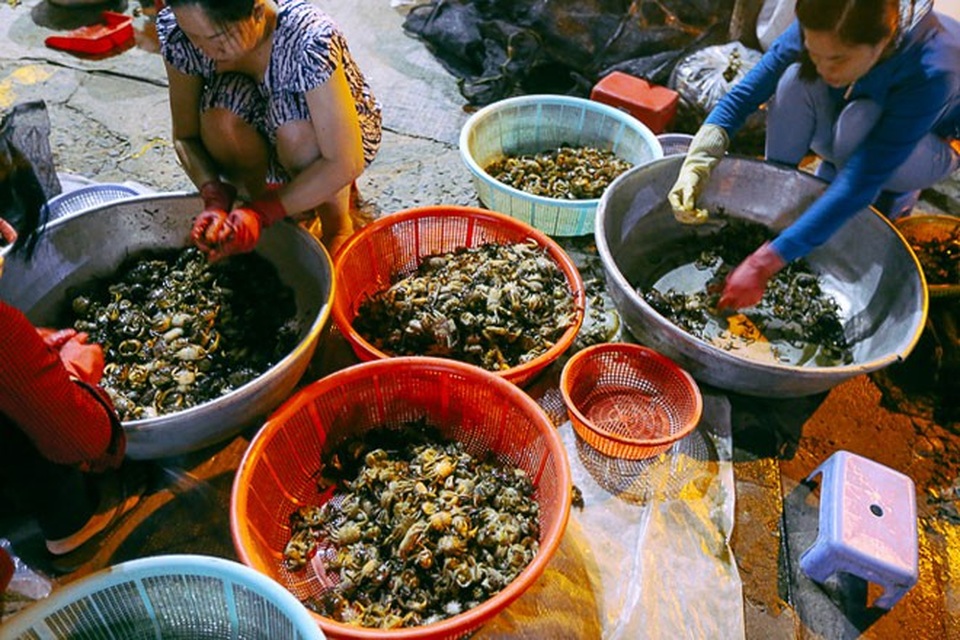 TP HCM: Chợ “độc” gần nửa thế kỷ chỉ bán một mặt hàng lúc nửa đêm - 12 TP HCM: Chợ “độc” gần nửa thế kỷ chỉ bán một mặt hàng lúc nửa đêm - 12