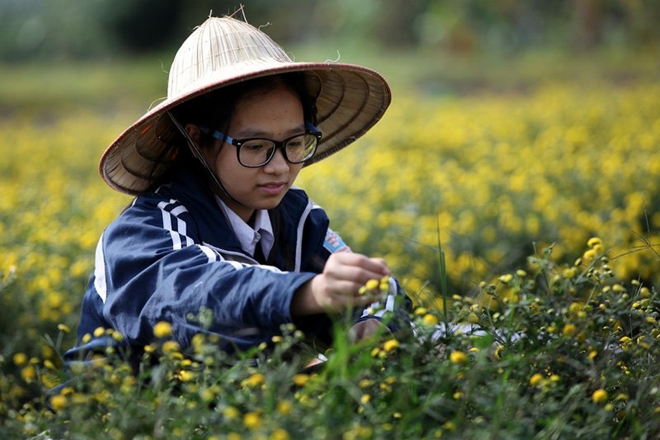 Nữ sinh nườm nượp rủ nhau kiếm tiền trên cánh đồng đẹp như mơ - 4 Nữ sinh nườm nượp rủ nhau kiếm tiền trên cánh đồng đẹp như mơ - 4