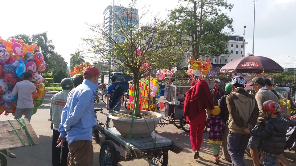 Cuối ngày 30 Tết, hoa, cây cảnh đồng loạt “xả hàng” - 27 Chậu mai này đã có chủ