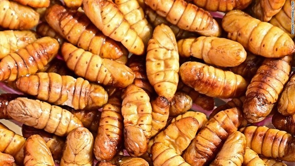 Món nhộng tằm tại Campuchia. (Nguồn: CNN)