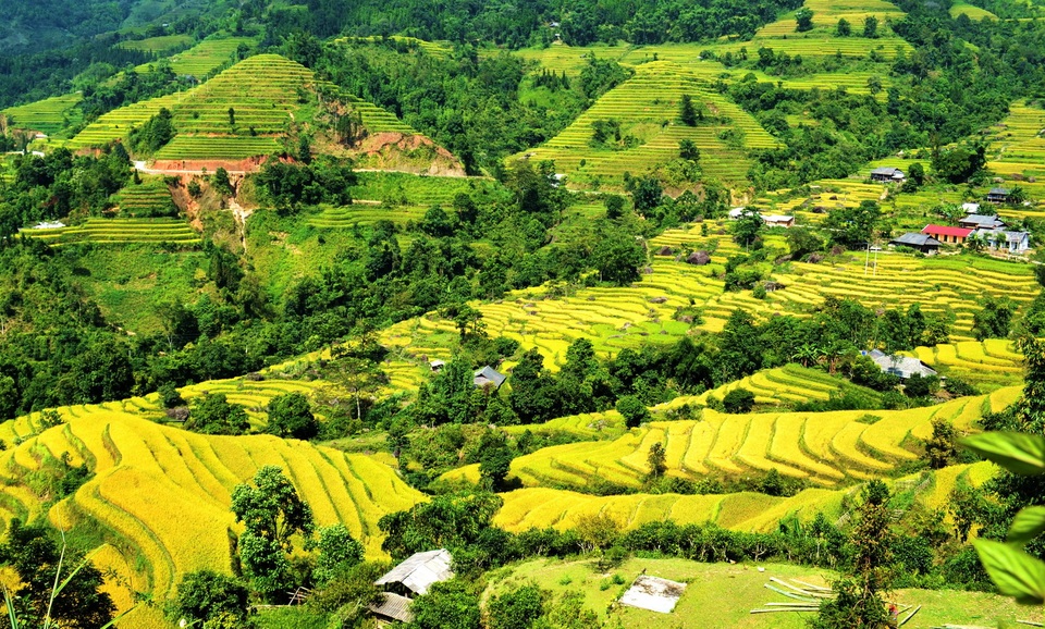 Tưng bừng ngày hội “Hè sắc màu – Hành trình rực rỡ” - 4