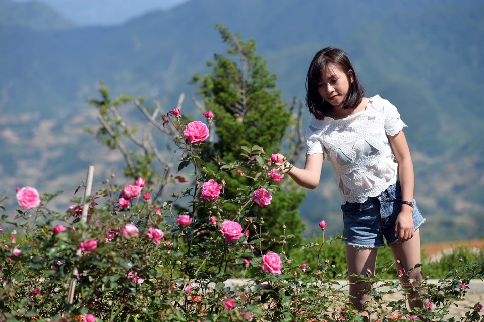 Ngỡ ngàng trước “khung trời hoa” rực rỡ, đẹp đến nao lòng - 4