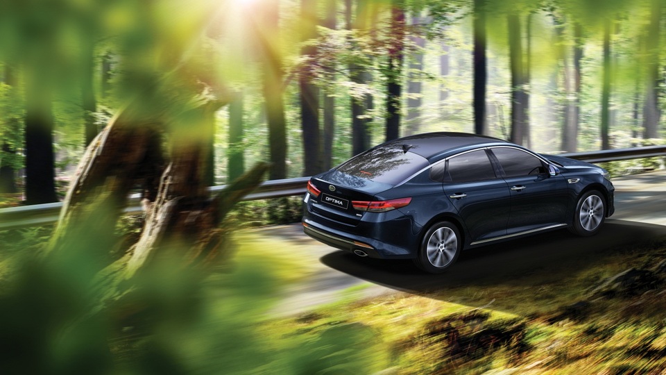 
Đuôi xe thể thao, sang trọng
