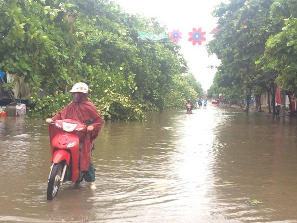 Bão quét qua, cây đổ ngổn ngang, nhiều đường bị ngập - 7 Cây xanh đổ gãy chắn ngang đường. Hiện một vài tuyến đường trong TP Hà Tĩnh vẫn đang bị ngập cục bộ