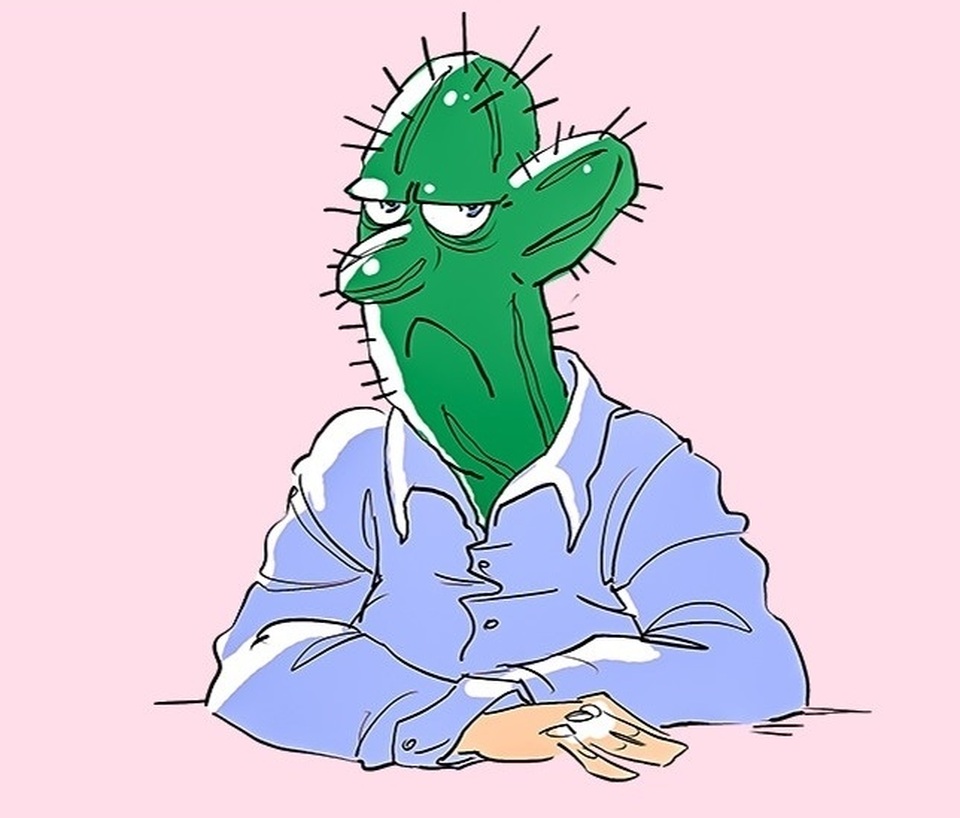 Nàng nghĩ chàng tua tủa như gai xương rồng