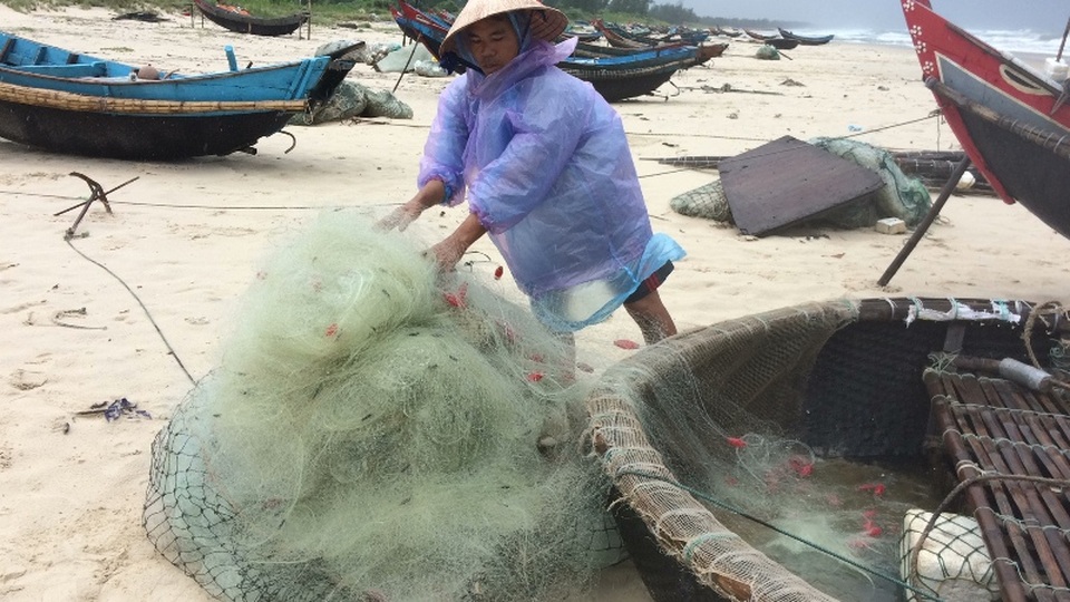Bão số 4 áp sát, vùng dự kiến tâm bão căng mình ứng phó - 8 Thu lưới từ thuyền thúng lên bờ