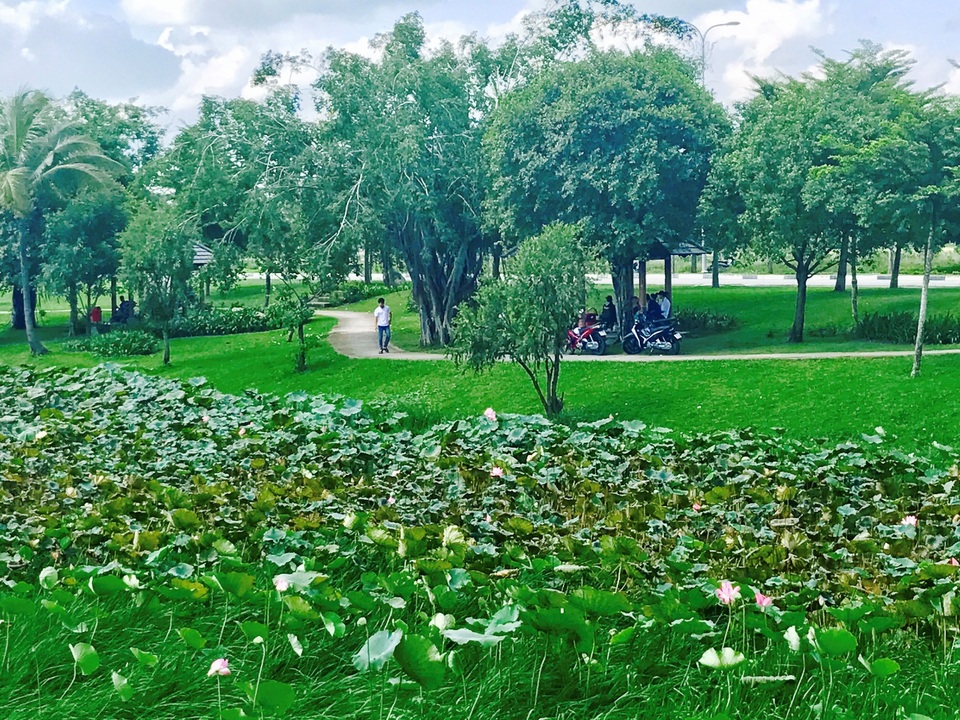 Lá phổi xanh giữa lòng Khu công nghiệp - Ecolakes Mỹ Phước - 4