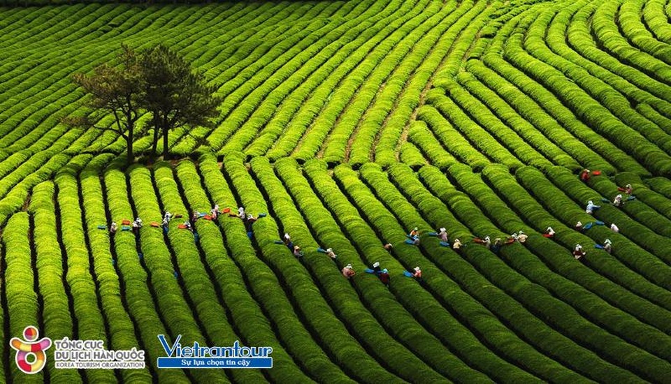 Tour du lịch Hàn Quốc dành riêng phái đẹp trong tháng 10 - 4 Tour du lịch Hàn Quốc dành riêng phái đẹp trong tháng 10 - 4