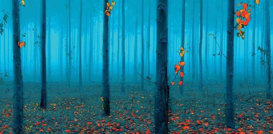 8 điểm chụp ảnh hút hồn nhất Tây bắc Thái Bình Dương - 4