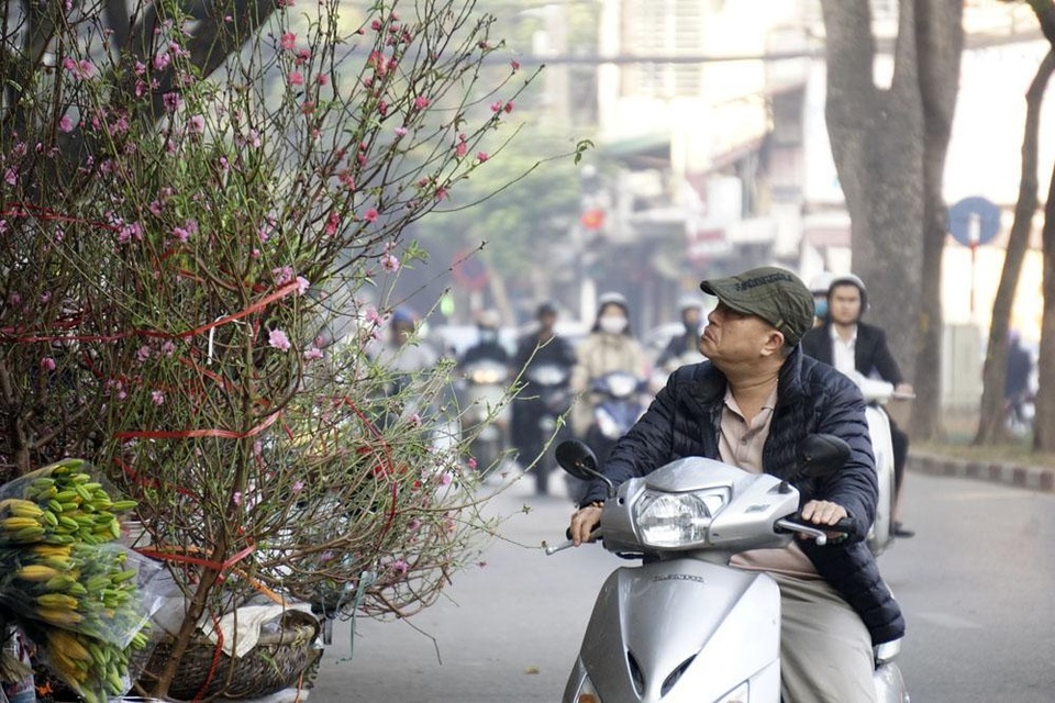 Khách chọn đào cành trên đường phố.