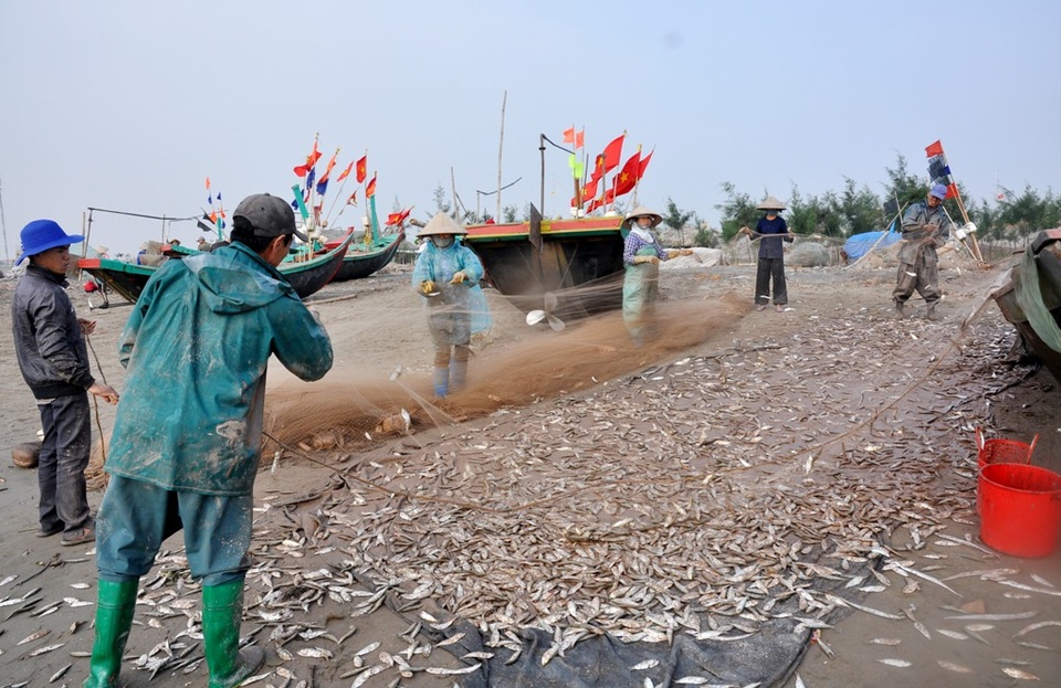 Ngư dân "thắng lớn" trong chuyến đi biển đầu năm - 5 Ông Nguyễn Văn Nam (49 tuổi, xã Hải Lý) chia sẻ: “Những ngày ra khơi đầu năm luôn mang lại những ý nghĩa lớn. Chúng tôi coi đó là những ngày khởi đầu, cầu chúc sự may mắn, thuận lợi trong cả một năm”.
