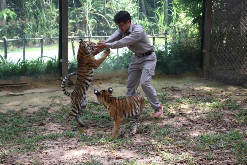 Đại gia đình Vinpearl Safari Phú Quốc đón thêm thành viên mới - 5 Đại gia đình Vinpearl Safari Phú Quốc đón thêm thành viên mới - 5