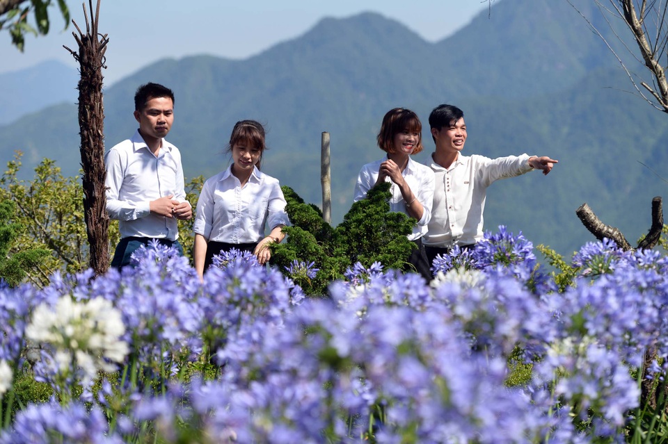 Ngỡ ngàng trước “khung trời hoa” rực rỡ, đẹp đến nao lòng - 5