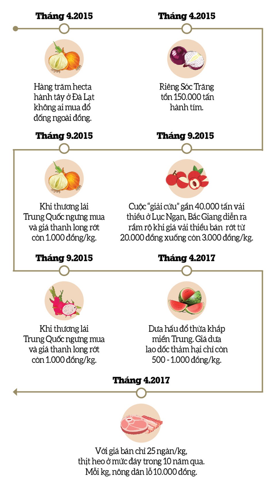 Infographics: Phải đi buôn chổi đót - 2