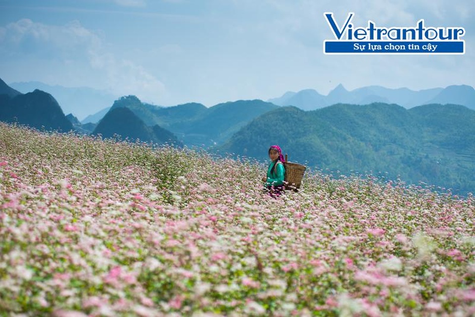 Đa dạng vẻ đẹp Thu trên khắp thế giới - 5 Đa dạng vẻ đẹp Thu trên khắp thế giới - 5