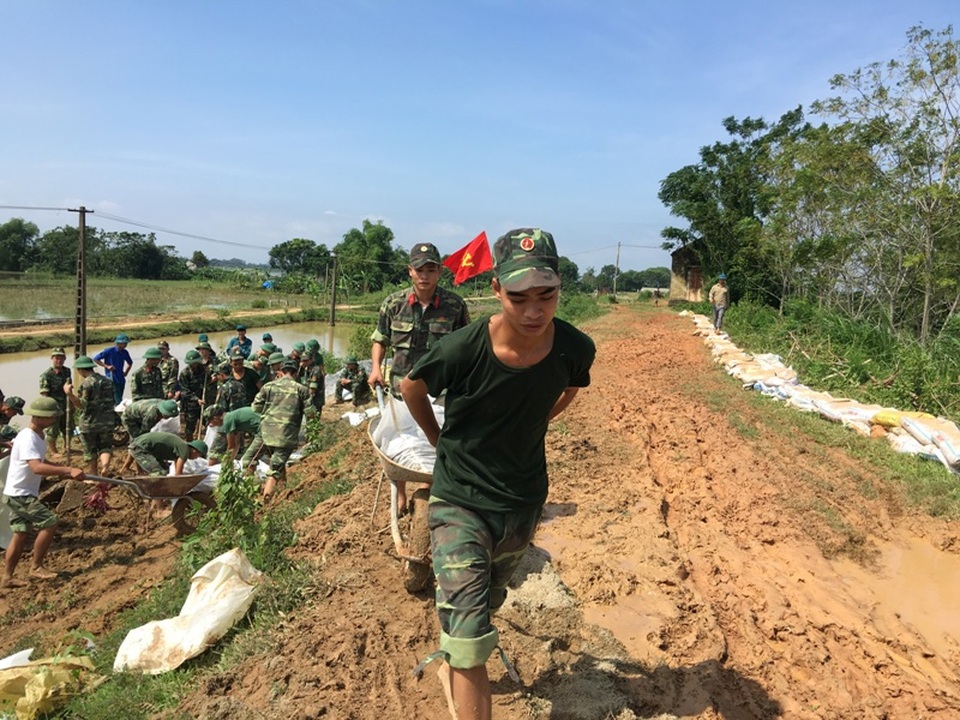 Vật lộn trong lũ chèn đá hộc, đóng cọc gia cố chân đê - 15 Đê được gia cố theo hình thức đắp con chạch cao 50cm