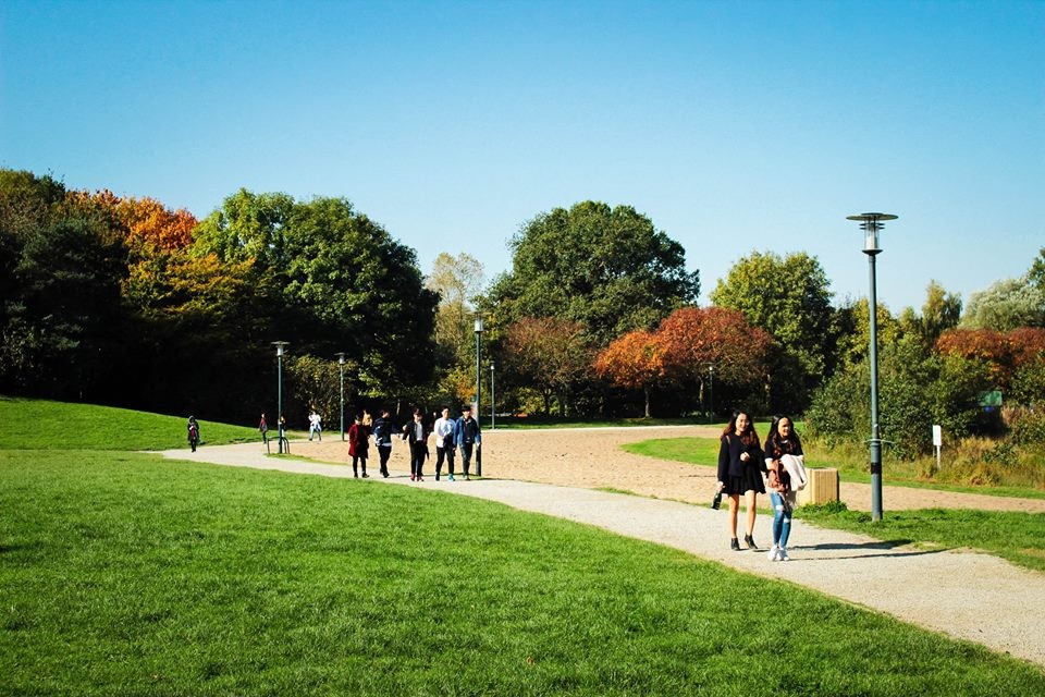 Đại hội sinh viên Việt Nam tại thành phố miền Tây Bắc nước Pháp - 5