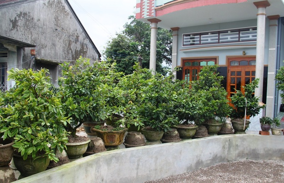 TPHCM lần đầu tổ chức sơ tán dân vùng ven biển để tránh bão - 11 Mai được đưa về nhà kê lên chậu cao