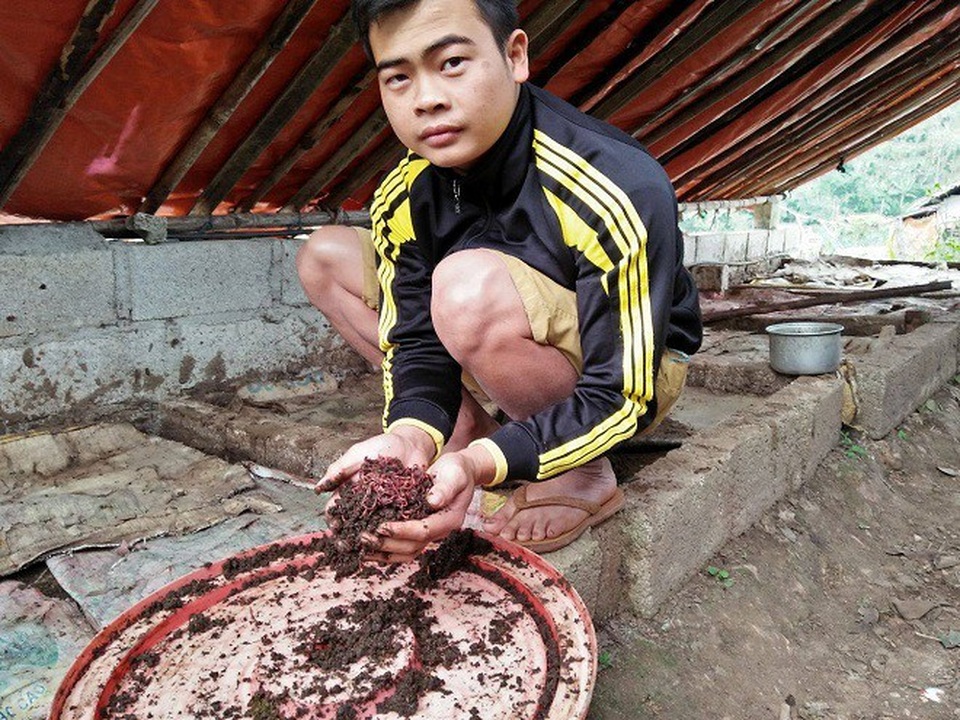 Làm giàu ở nông thôn: Cử nhân người Nùng về quê nuôi giun quế - 2 Làm giàu ở nông thôn: Cử nhân người Nùng về quê nuôi giun quế - 2