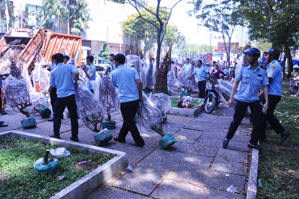 Cuối ngày 30 Tết, hoa, cây cảnh đồng loạt “xả hàng” - 7 Cuối ngày 30 Tết, hoa, cây cảnh đồng loạt “xả hàng” - 7