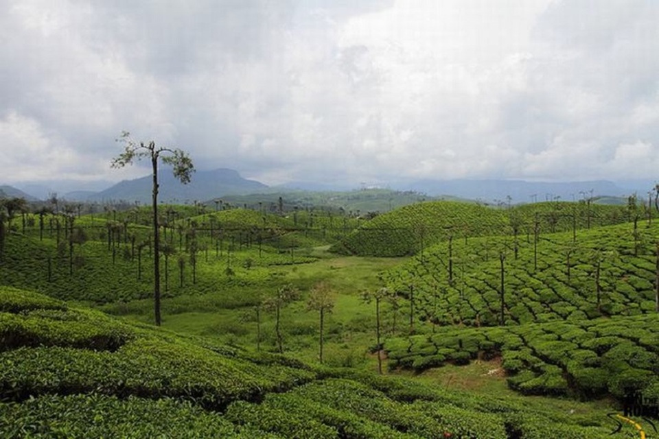 9 thắng cảnh thiên nhiên tuyệt đẹp ở Ấn Độ - 6 9 thắng cảnh thiên nhiên tuyệt đẹp ở Ấn Độ - 6