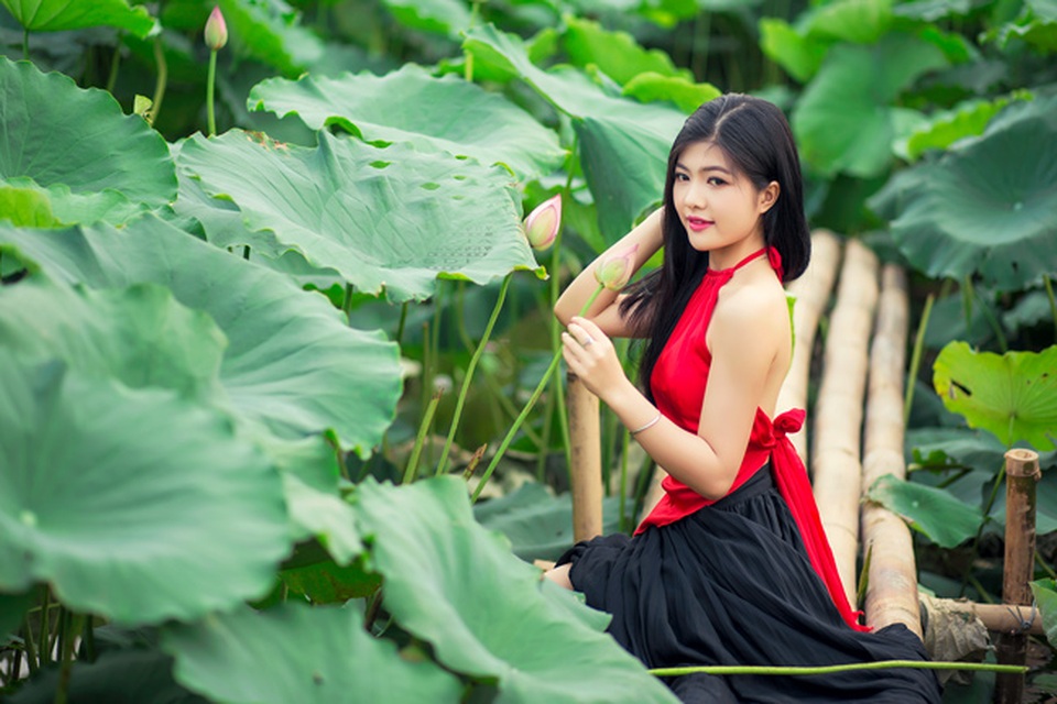 Gái trẻ buông lơi dây yếm, lả lướt khoe sắc cùng sen - 7
Minh Thư (nữ sinh Sư phạm) không quá vất vả nhưng vẫn có bức hình đẹp nền nã cùng sen (ảnh: Pai Trần).