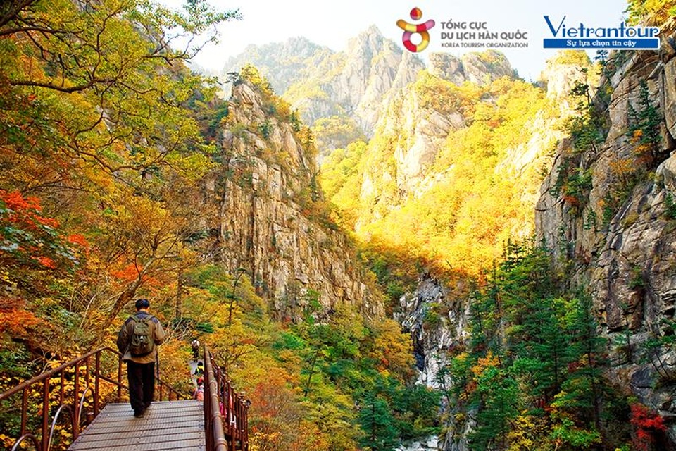 Tour du lịch Hàn Quốc dành riêng phái đẹp trong tháng 10 - 6 Tour du lịch Hàn Quốc dành riêng phái đẹp trong tháng 10 - 6
