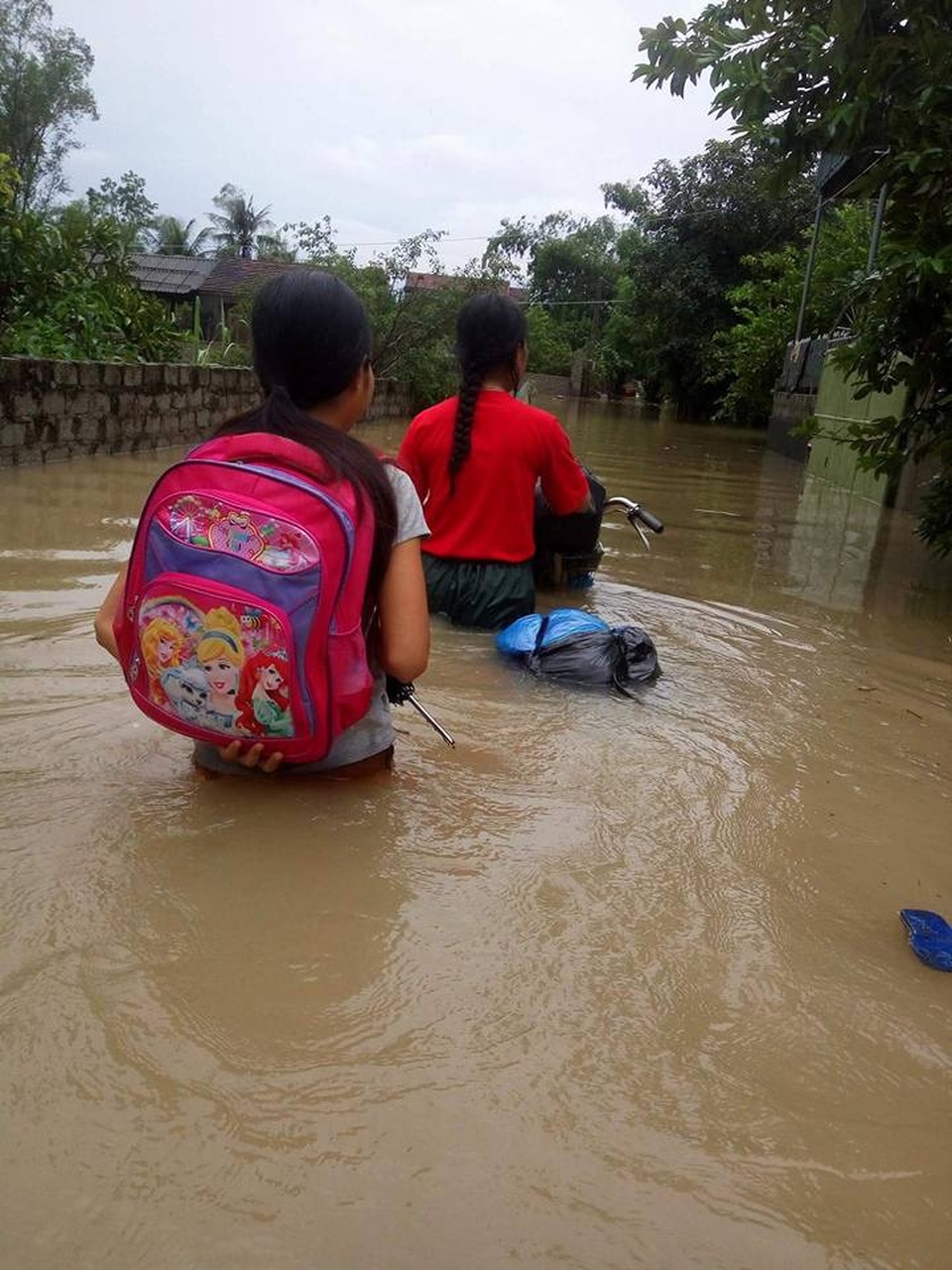 Nước lũ dâng ngang mái nhà, lút đến cổ người dân - 17 Hình ảnh tại Thuận Giang, Quỳnh Lưu.