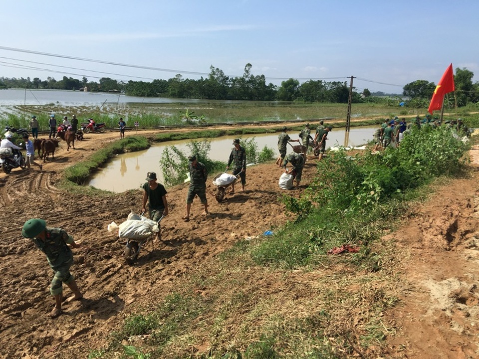 Vật lộn trong lũ chèn đá hộc, đóng cọc gia cố chân đê - 16 Việc gia cố đê phải hoàn thành trước 17 giờ ngày 15/10