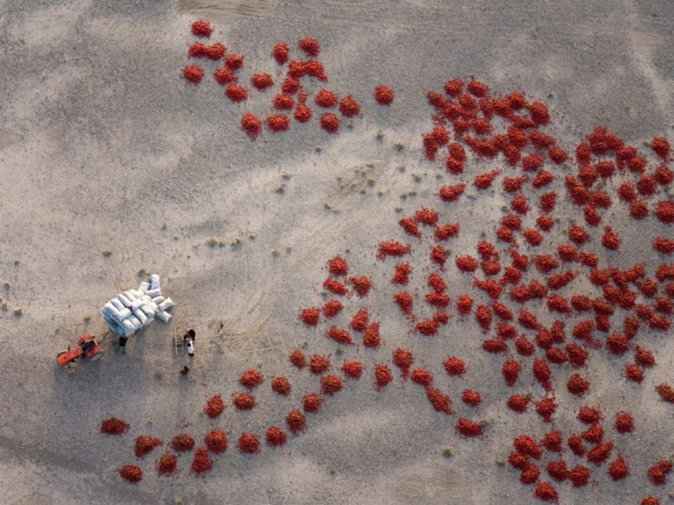 Những bức ảnh đẹp ngỡ ngàng khi chụp từ trên cao - 6 Những bức ảnh đẹp ngỡ ngàng khi chụp từ trên cao - 6