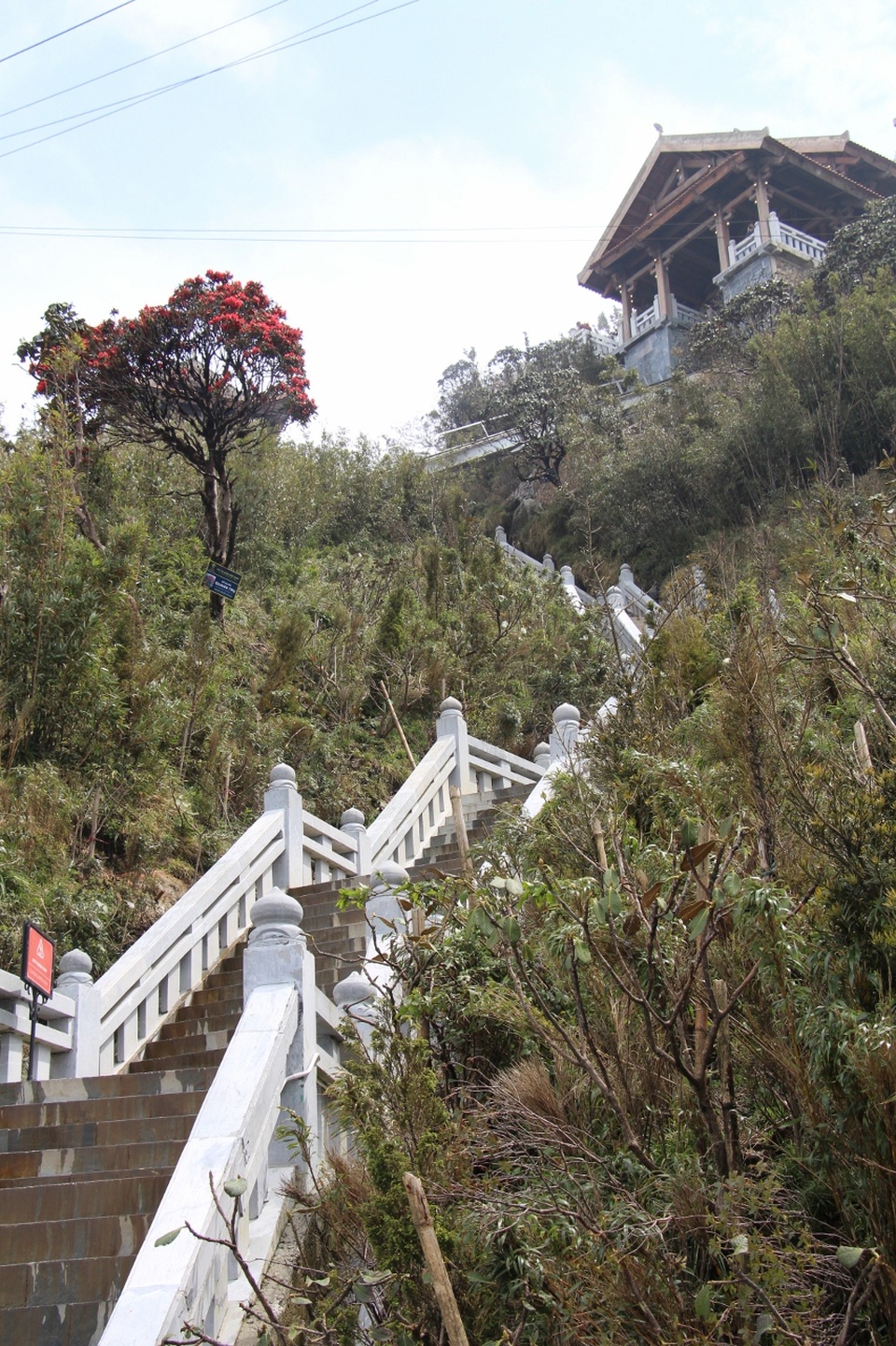 Fansipan Legend hút khách mùa lễ hội hoa đỗ quyên - 7 Fansipan Legend hút khách mùa lễ hội hoa đỗ quyên - 7