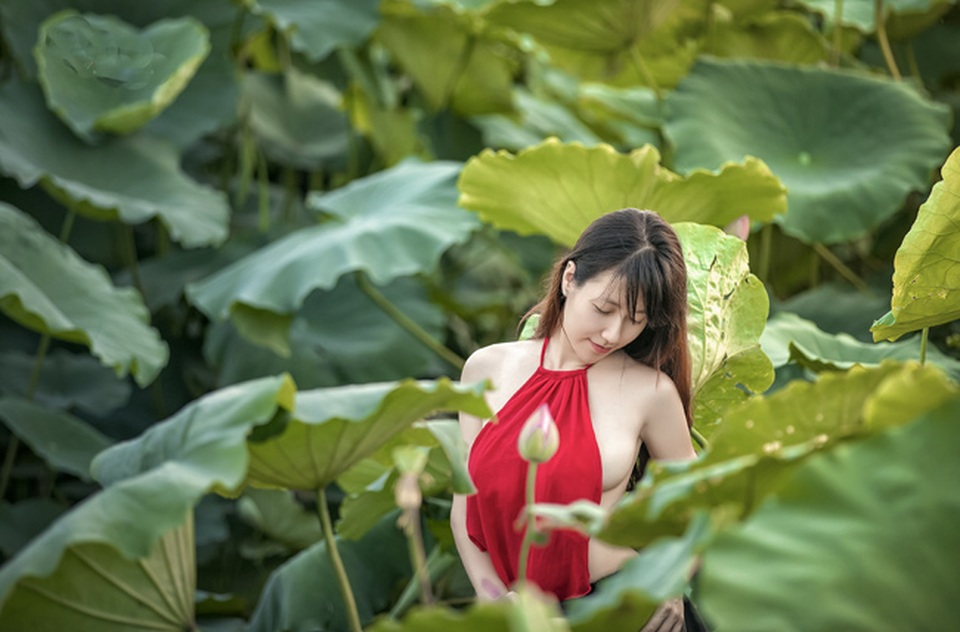 Gái trẻ buông lơi dây yếm, lả lướt khoe sắc cùng sen - 8
Nét xuân thì của thiếu nữ hiển hiện giữa đầm sen mướt mắt (ảnh: Huy Hoàng Đoàn)